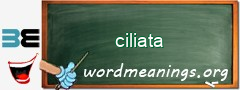 WordMeaning blackboard for ciliata